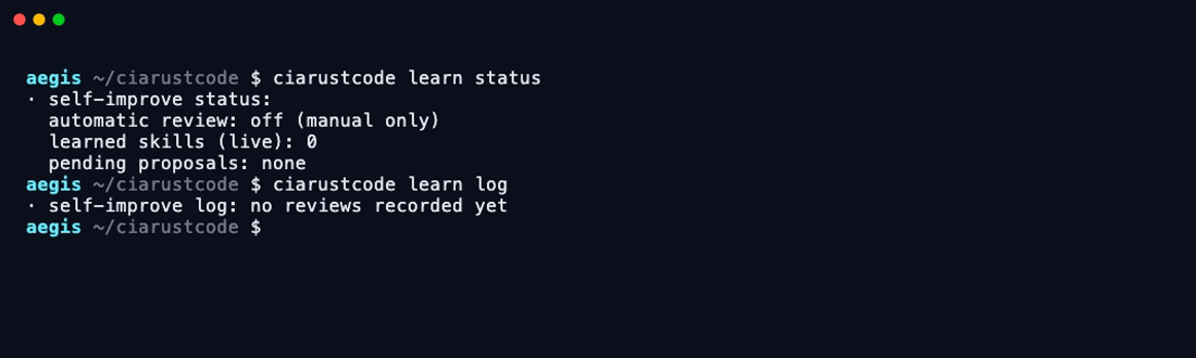 Terminal output of learn status and learn log: automatic review off (manual only), live learned skills and pending proposals; the review journal.